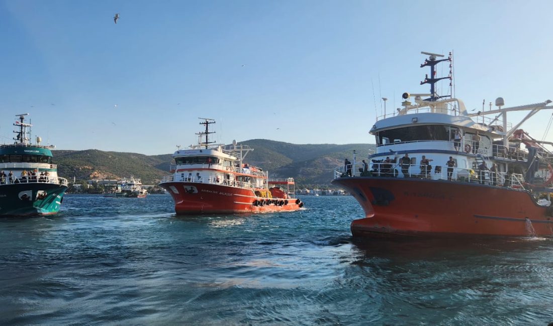 MÜSİLAJ HORTLADI Yalova İli Deniz Ürünleri Avcıları Üreticileri Birliği (DEM-BİR) Yönetim Kurulu