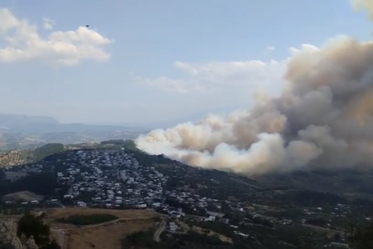 Bursa'da Gündoğdu ile Ovaakça mahalleleri arasındaki ormanlık alanda çıkan yangının