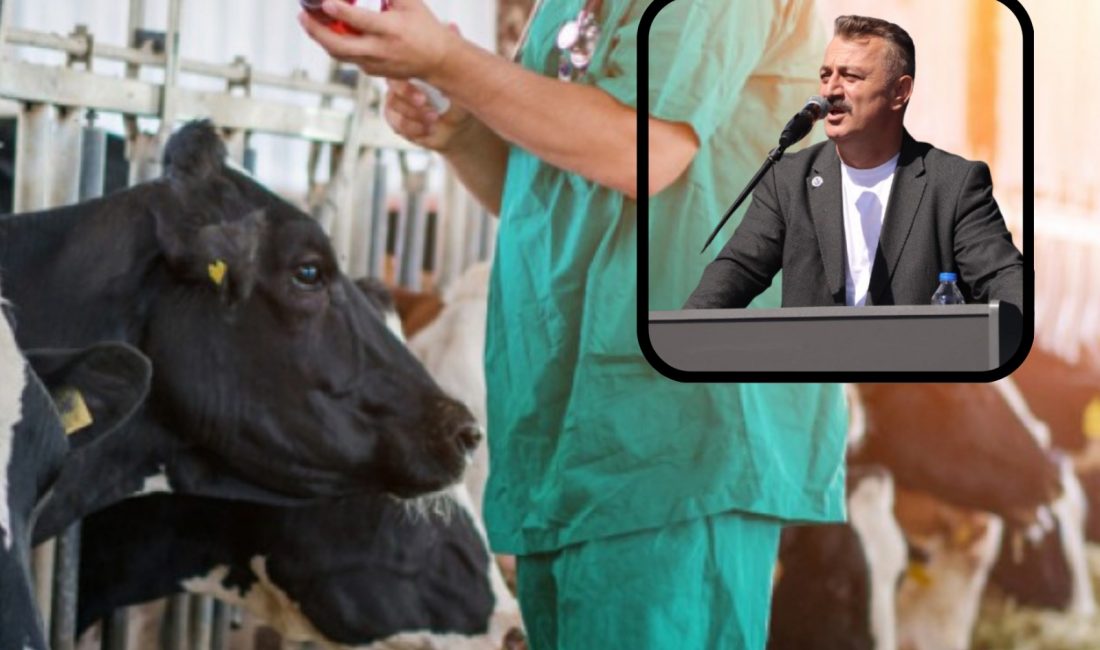 Anahtar Parti Bursa İl Başkanı Fikret Aslan, Türkiye’nin hayvancılık sektörünü