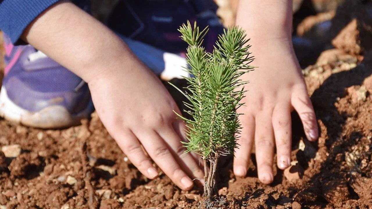 Cavit Çağlar Ortaokulu Öğrencilerinden Anlamlı 24 Kasım Hediyesi: 2.668 Fidan