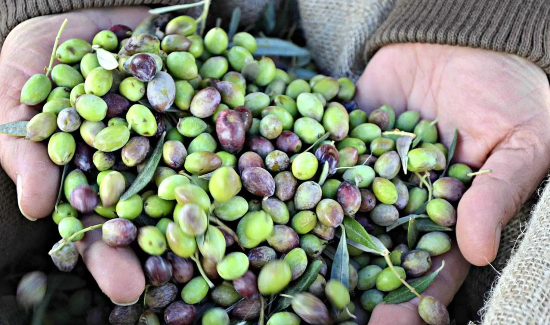 Köylü ve Milletin Demokrat Sesinden Marmara Birlik’e uyarı! Köylünün keskin