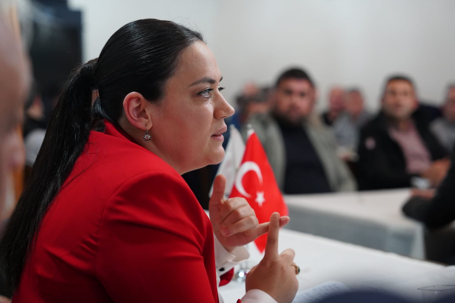 Bursa’nın Orhaneli, Keles, Harmancık, Büyükorhan ilçeleri ile Osmangazi’ye bağlı dağ