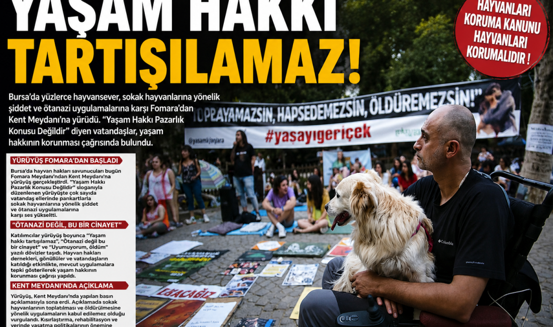 Bursa’da hayvan hakları savunucuları, sokak hayvanlarına yönelik uygulamaları protesto etmek