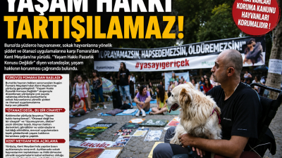 Bursa’da hayvan hakları savunucuları, sokak hayvanlarına yönelik uygulamaları protesto etmek