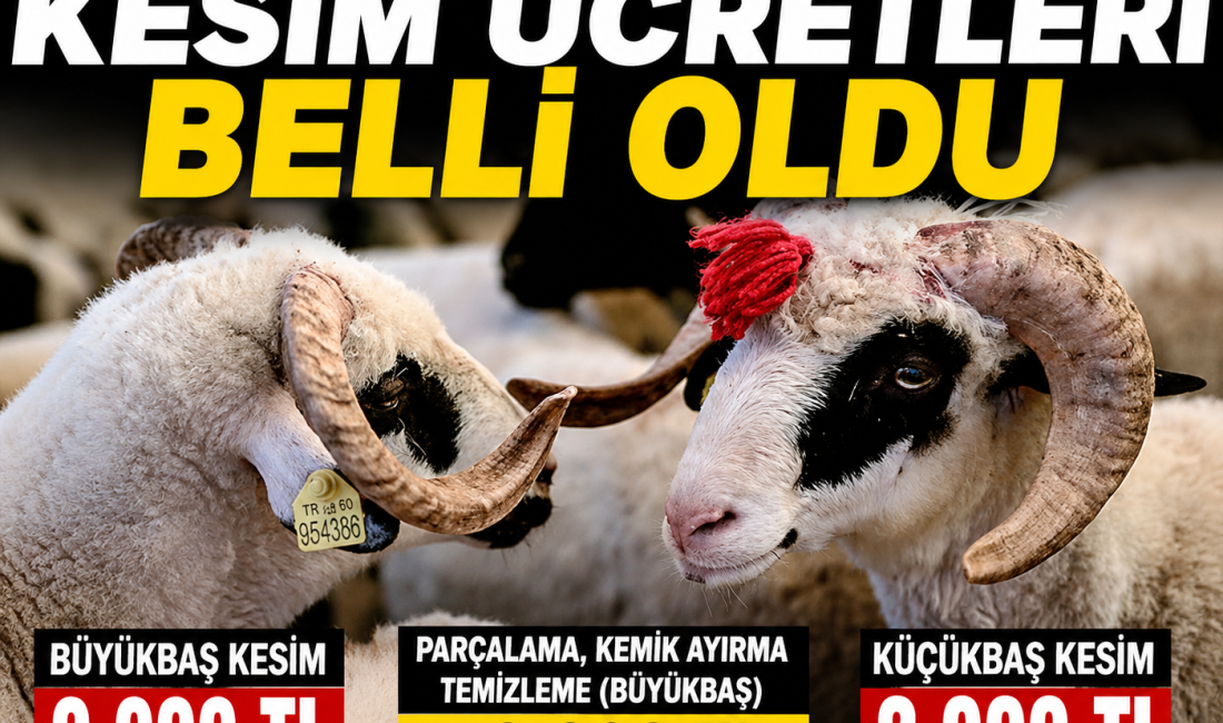 Bursa Kasaplar Odası, 2026 yılı Kurban Bayramı kesim tarifesini açıkladı.