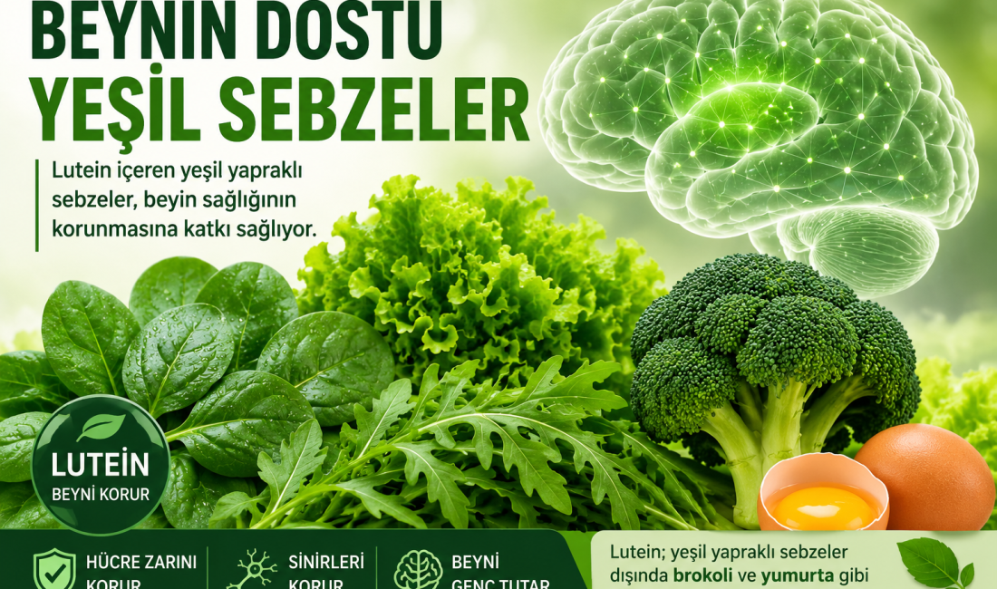 Yeşil yapraklı sebzelerde bulunan lutein, beyin hücrelerini koruyarak zihinsel performansın